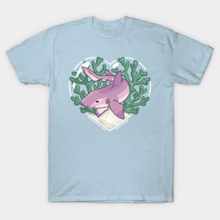 DOLLOP, the Nurse Shark T-Shirt